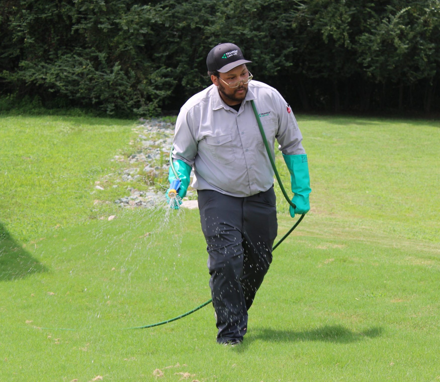 pests in lawns can cause chaos in raleigh and surrounding areas of NC, get treatment fast
