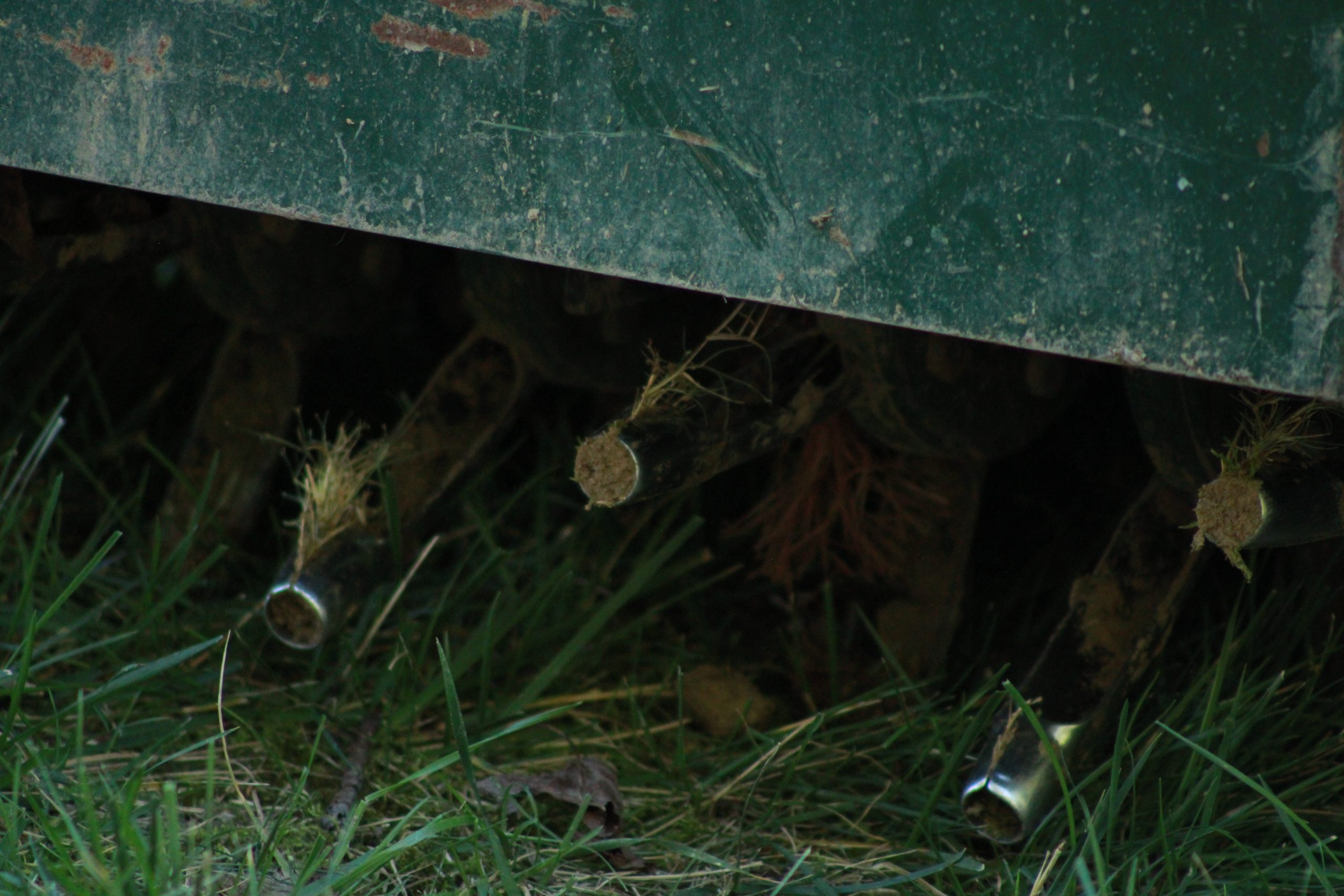 Homepage | Triangle Lawn