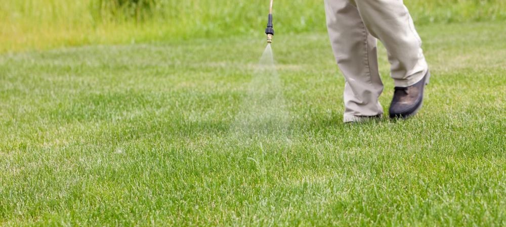 lawn care technician spraying yard