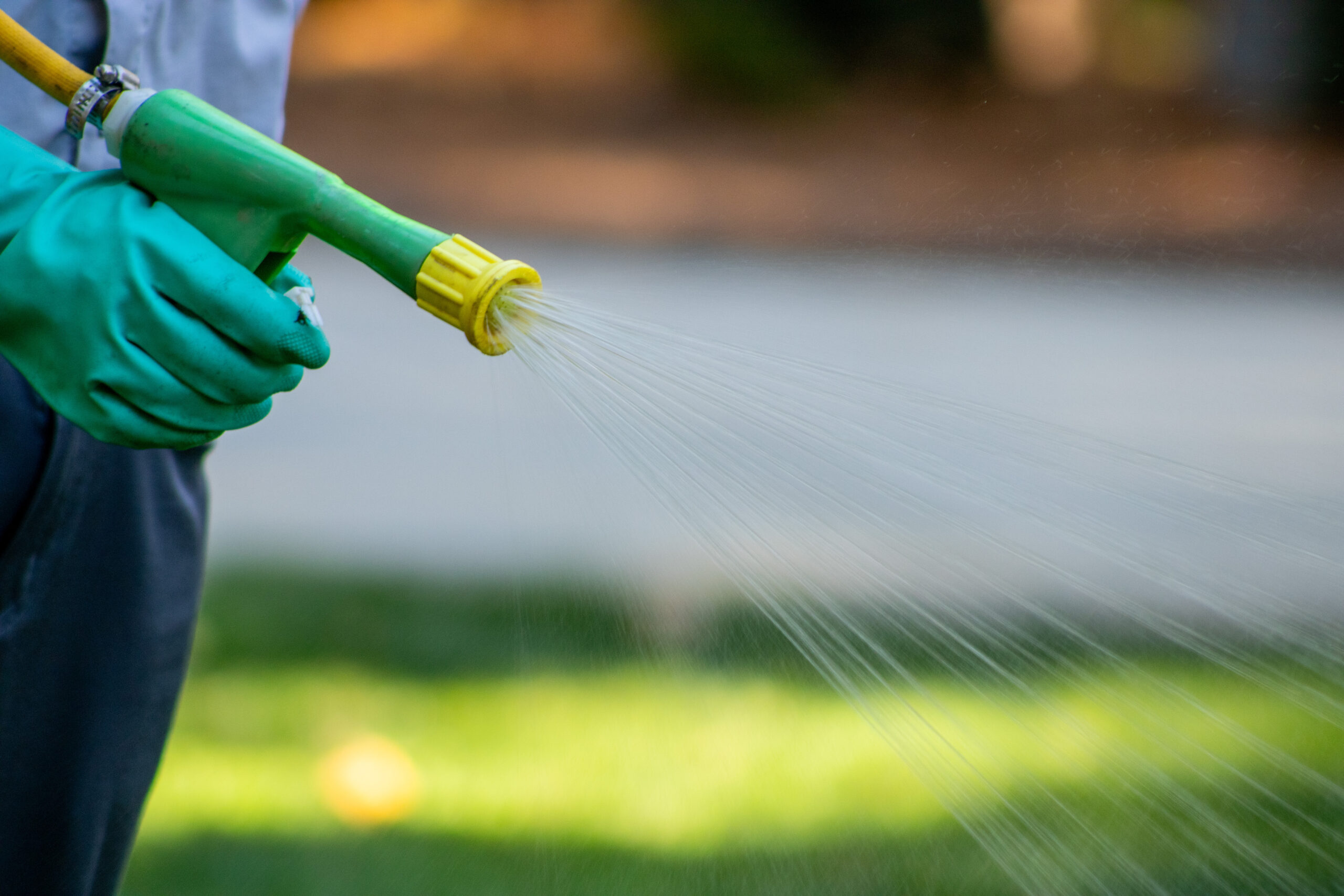 Technician applying winter lawn fertilization with a professional sprayer on a residential lawn in the Triangle.