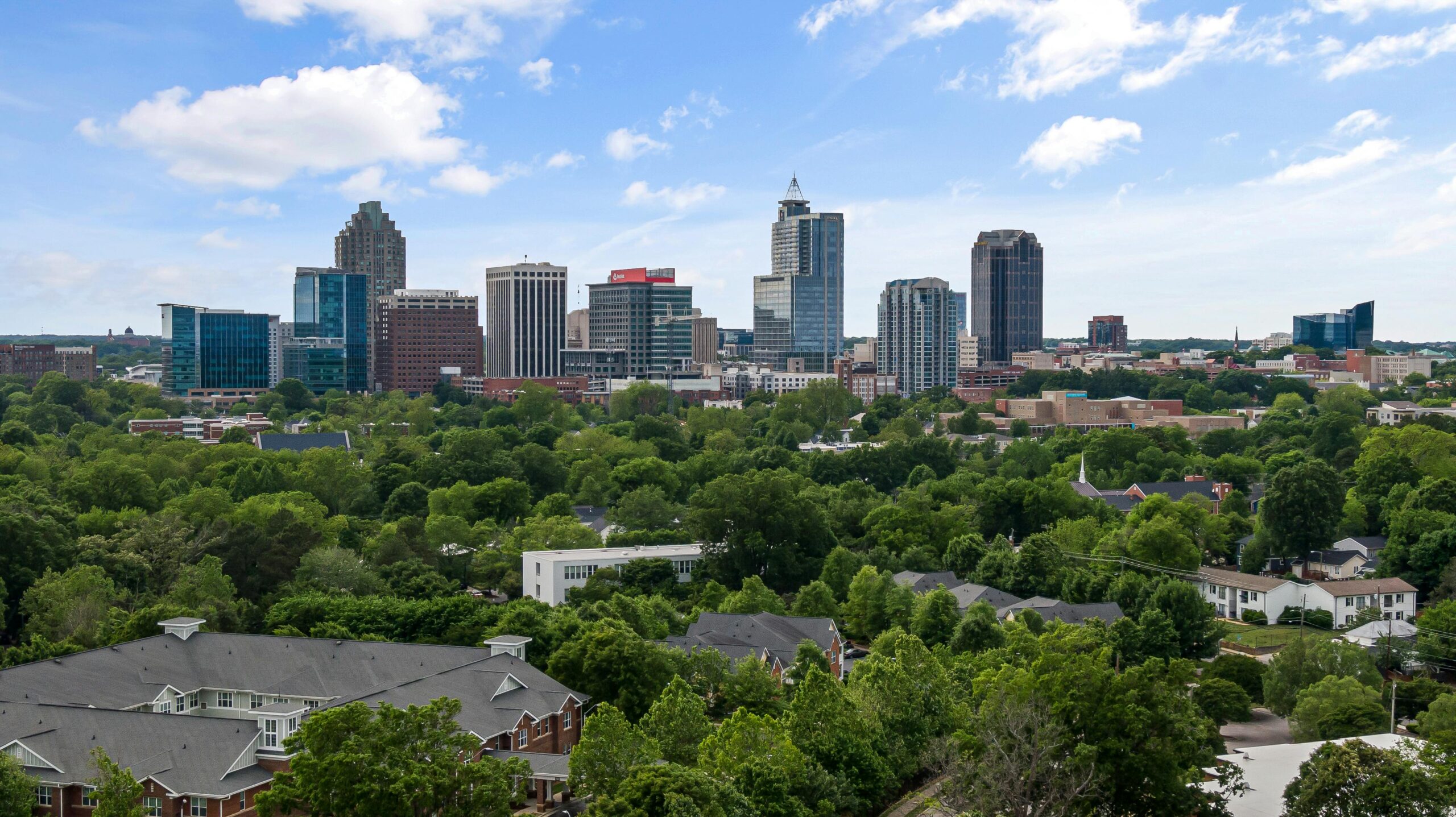 Raleigh winter guide showcasing the downtown skyline and residential areas of Raleigh