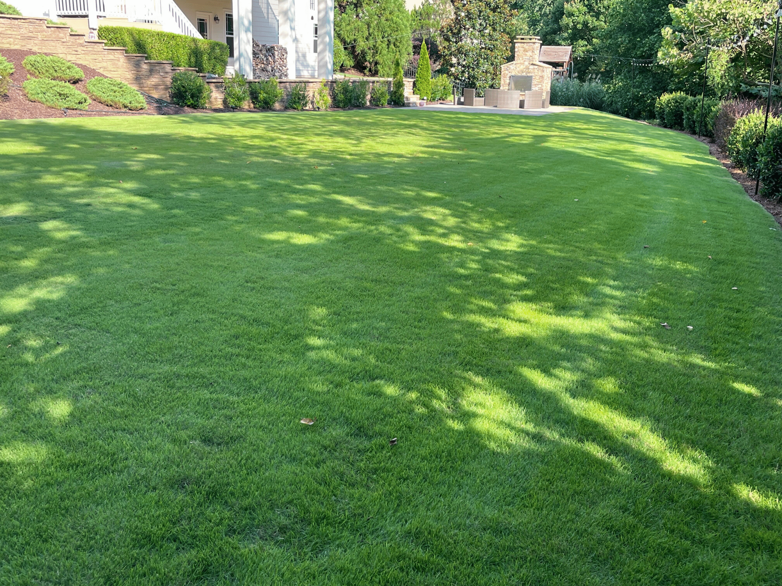 Spring lawn in the Triangle showing early seasonal growth and healthy turf