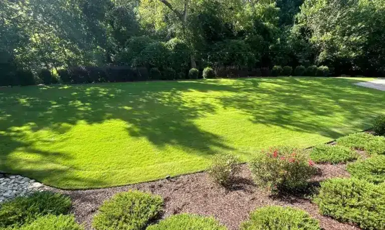 beautiful lawn we treat