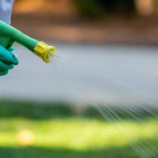 Technician applying winter lawn fertilization with a professional sprayer on a residential lawn in the Triangle.