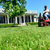 Mowing-Best-Practices-for-North-Carolina-Grass-Types-1-1.jpeg