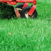 How-to-Make-Your-Own-Homemade-Weed-Killer-1-2.jpg