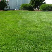 When-To-Plant-Grass-Seed-In-NC-Cold-Season-vs.-Warm-Season-1-3.jpg